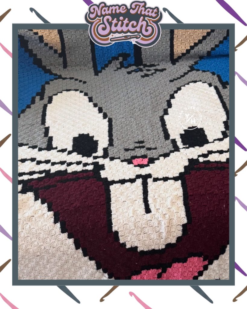 Close-up section of a crocheted blanket showing a pixel-style animal face created with colorwork stitches, featured in the Name That Stitch daily crochet puzzle.