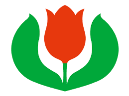 Tulip Company Limited logo