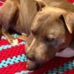 Profile photo of Susan