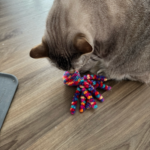 Profile photo of Mama T