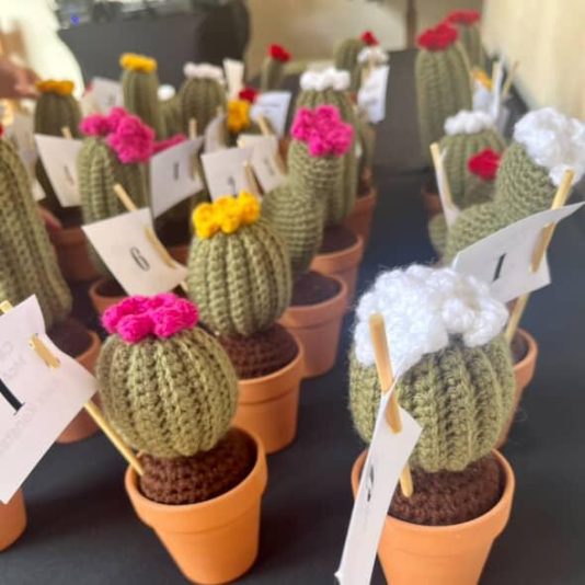 IMG_20250525_191600_611