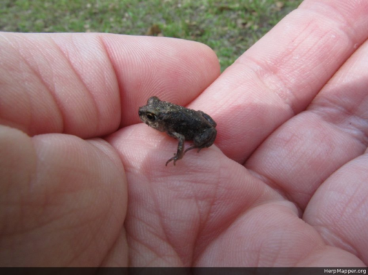 image_2026-01-13_201840076