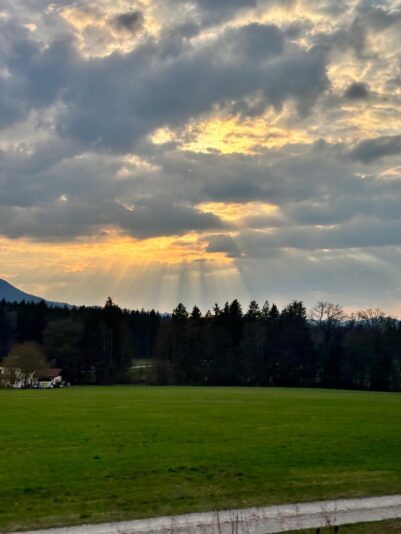 d56fc79e-5cbc-4085-936d-2e546d6efa3e